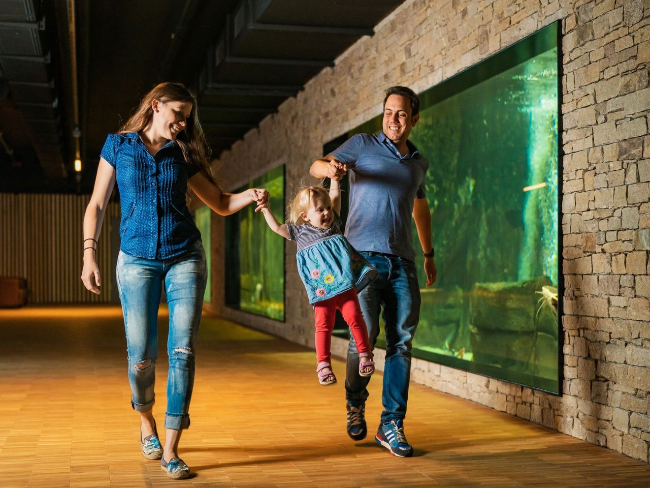 Kombiticket Fahrzeug- und Formel 1- Museum und Aquarium in Langenthal 