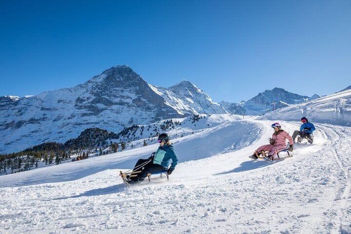 Ab Zürich: Private Wintertour mit Schlitteln, Käse und Schokolade