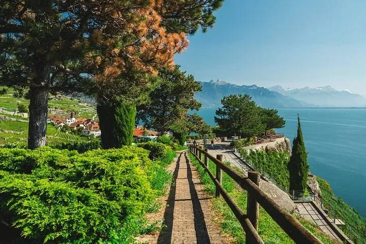 From Zurich: Private Day Trip Cheese, Chocolate and Wine to Western Switzerland