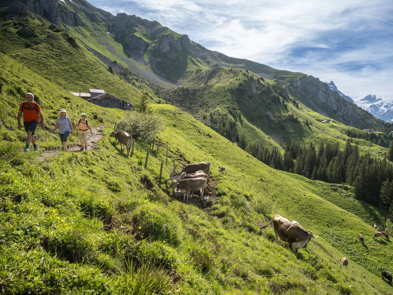 Engelberg-Ristis-Brunnihütte Sommer flexibles Wanderticket Luftseilbahn