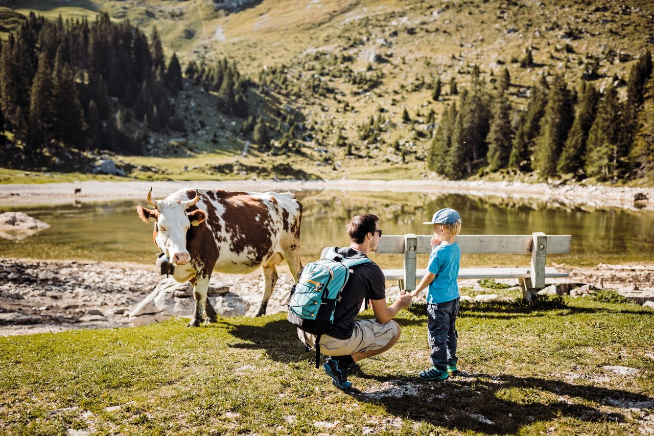 Naturpark Gantrisch Familie und Ziegen