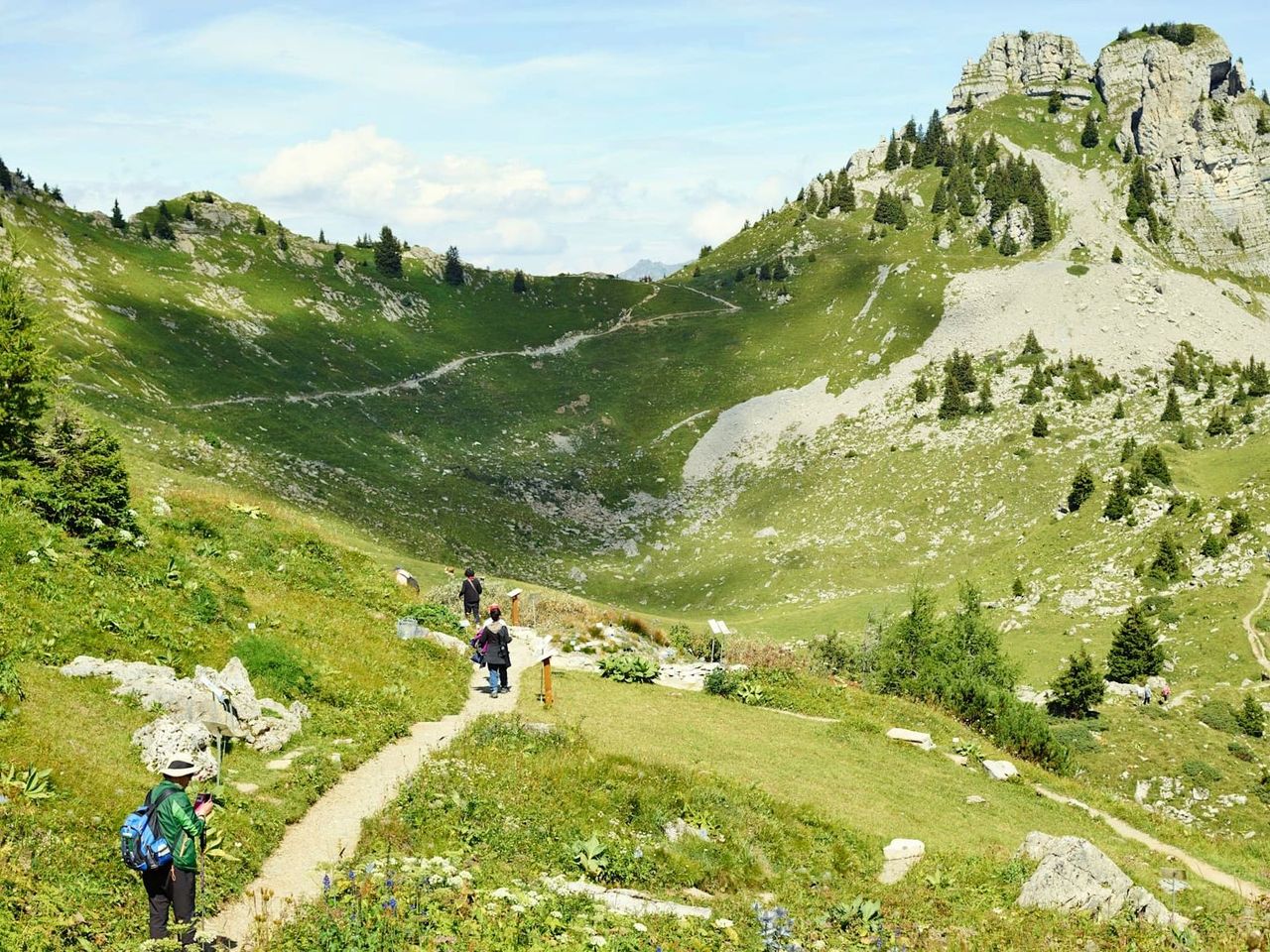 Schynige Platte Oberberghorn