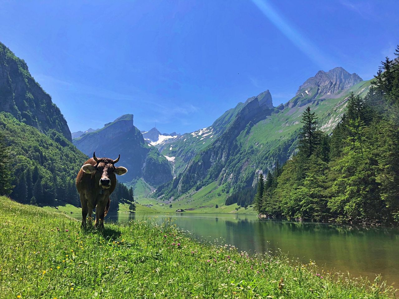 Seealpsee