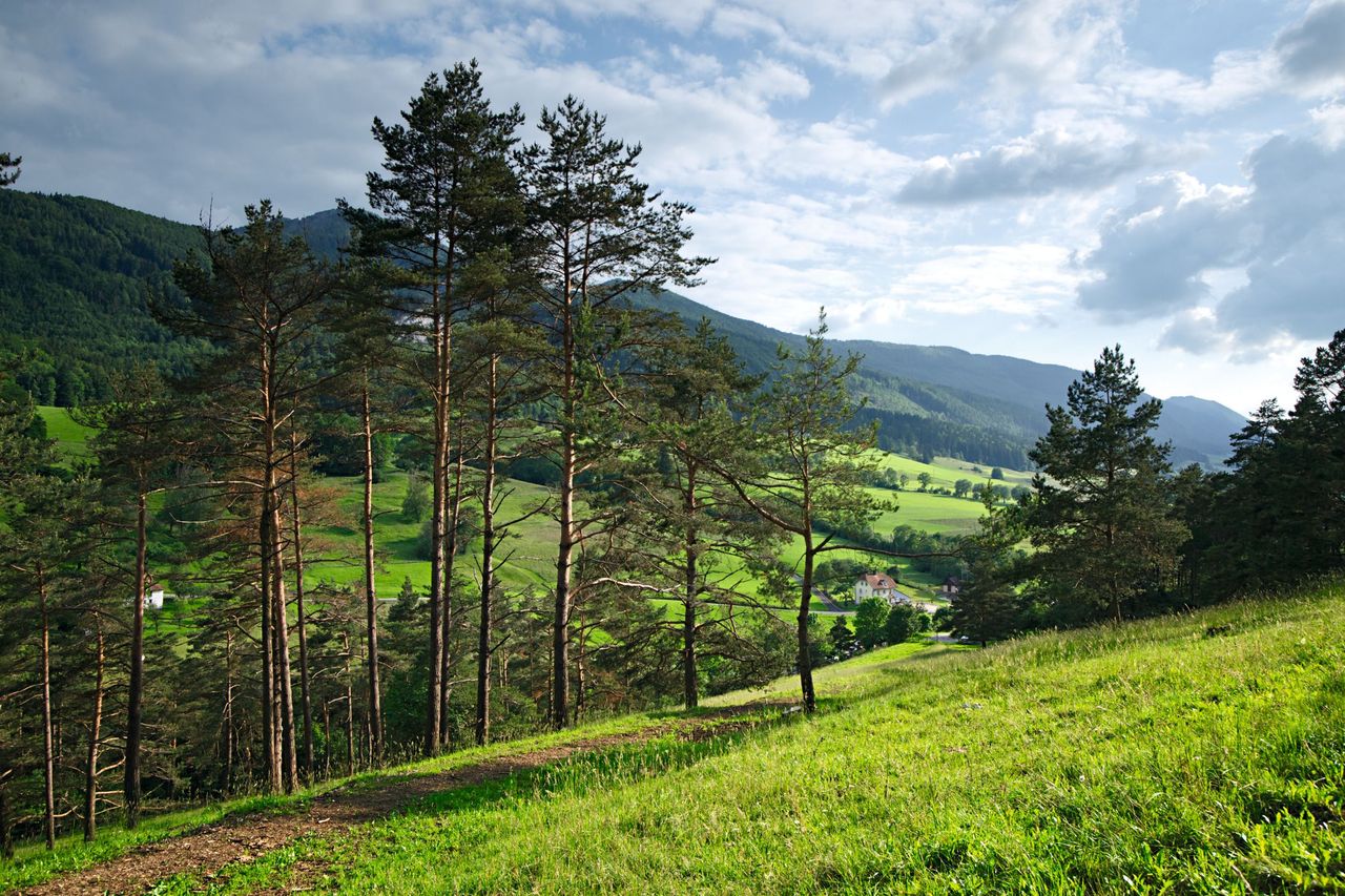 Naturpark Thal