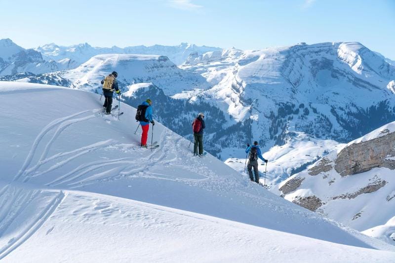 Guided day tour skiing and splitboarding in Toggenburg