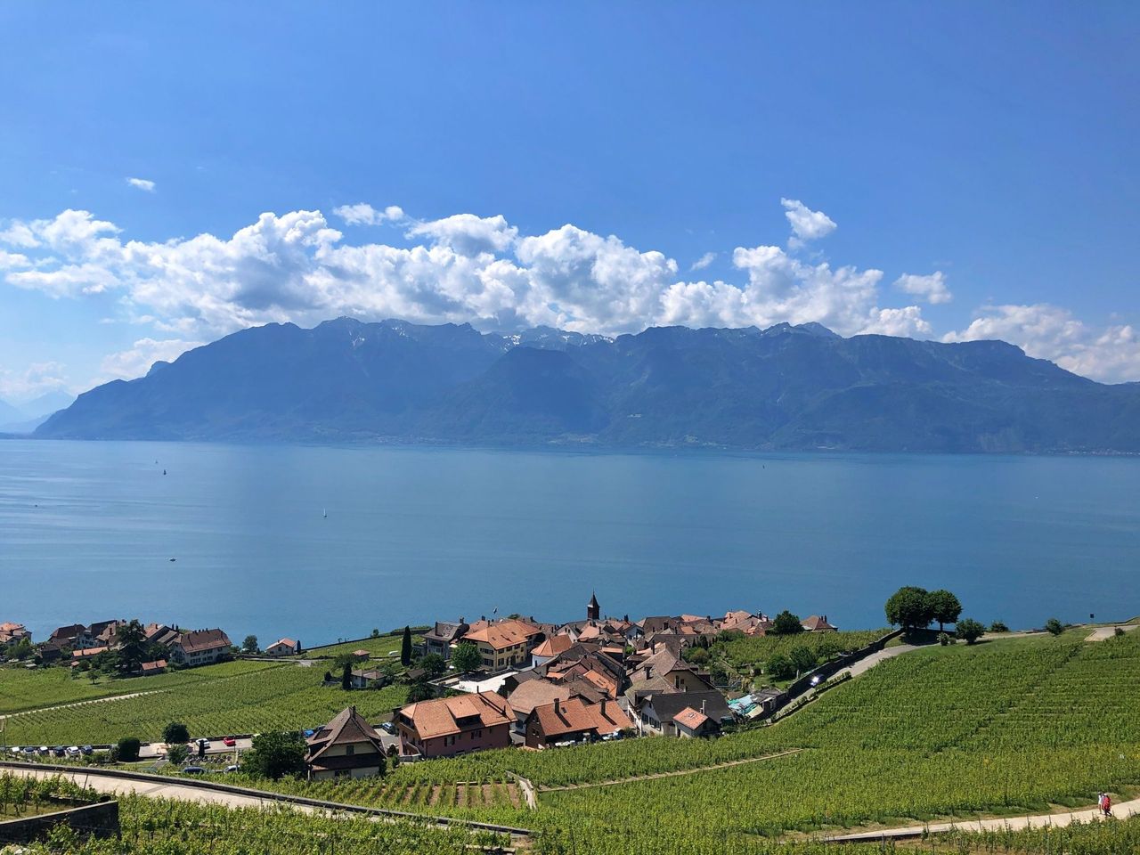 Ab Genf: Tagesausflug Weintour und Schloss Chillon
