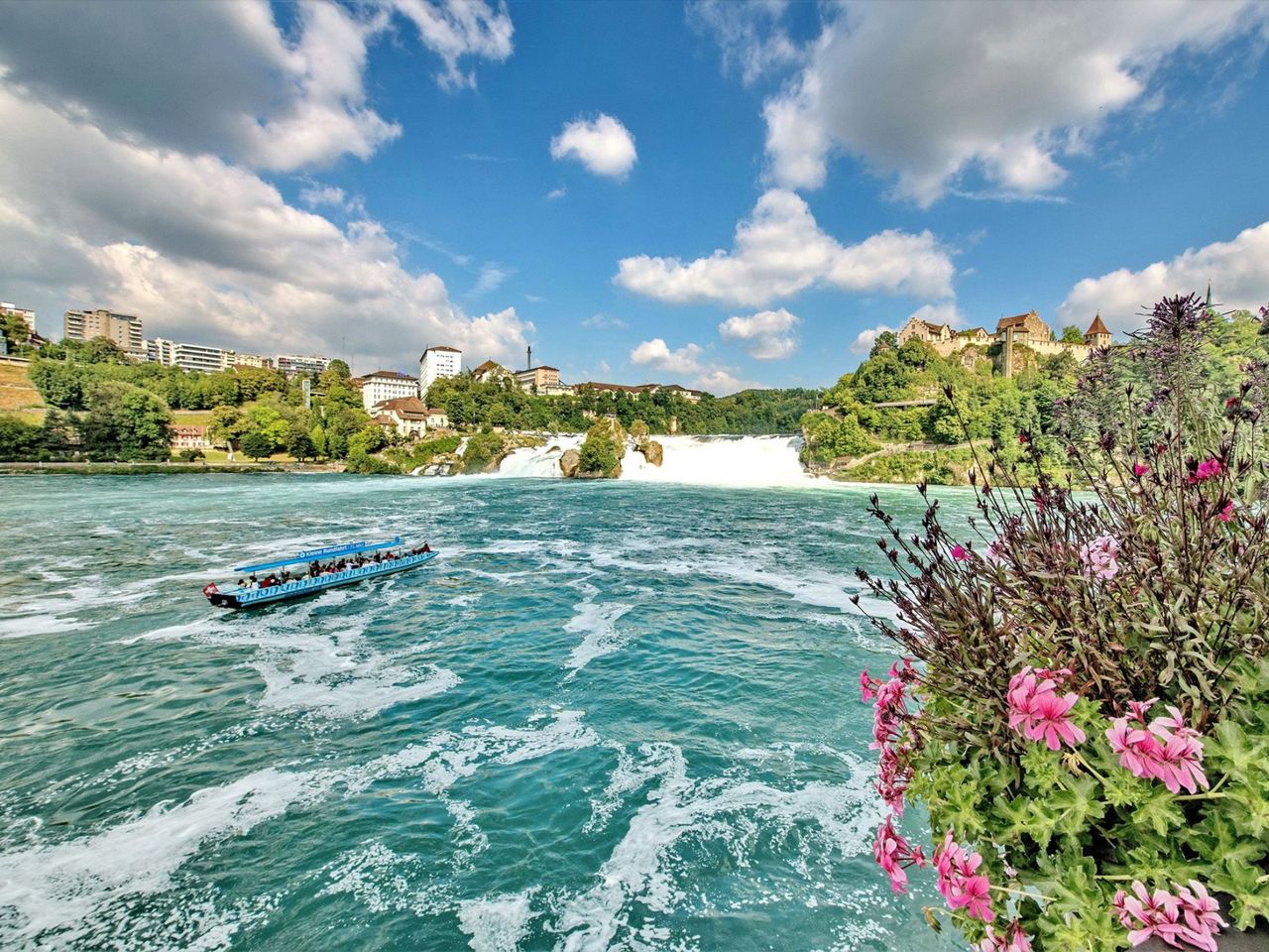 Ab Zürich: Tour im Reisebus zum Rheinfall halber Tag
