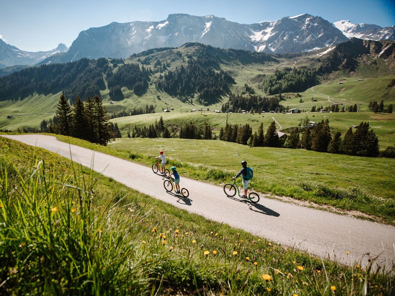 Ticket Trottiland Adelboden am VogellisiBerg