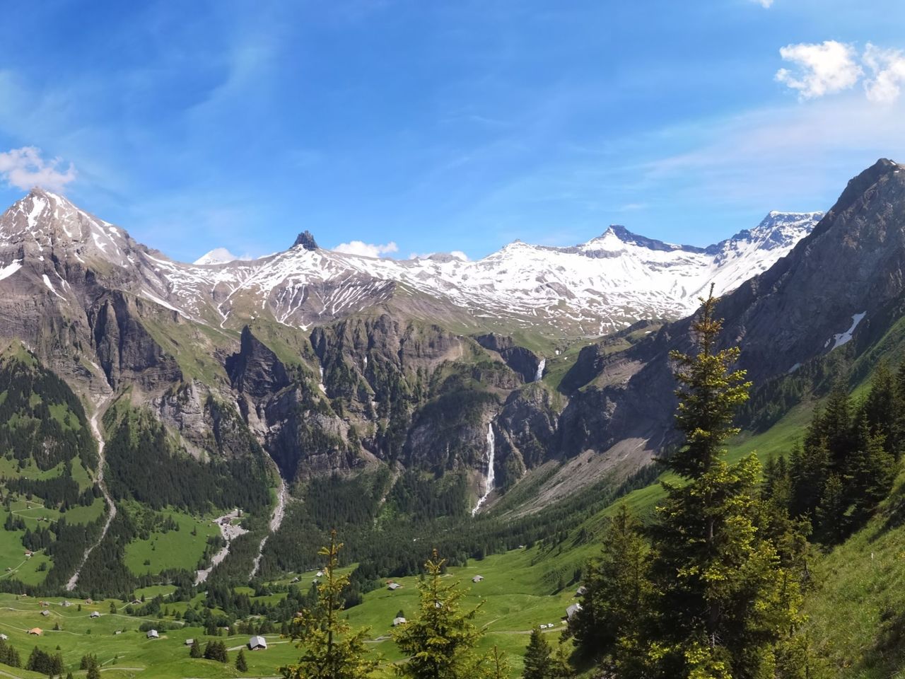 Heilpflanzen und Kräuterspaziergang in Adelboden