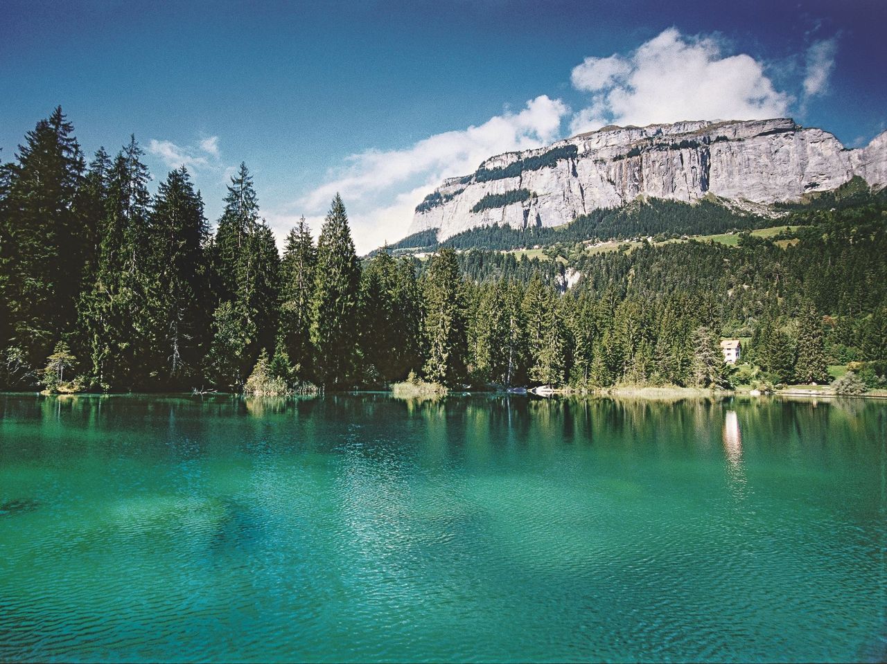 Crestasee