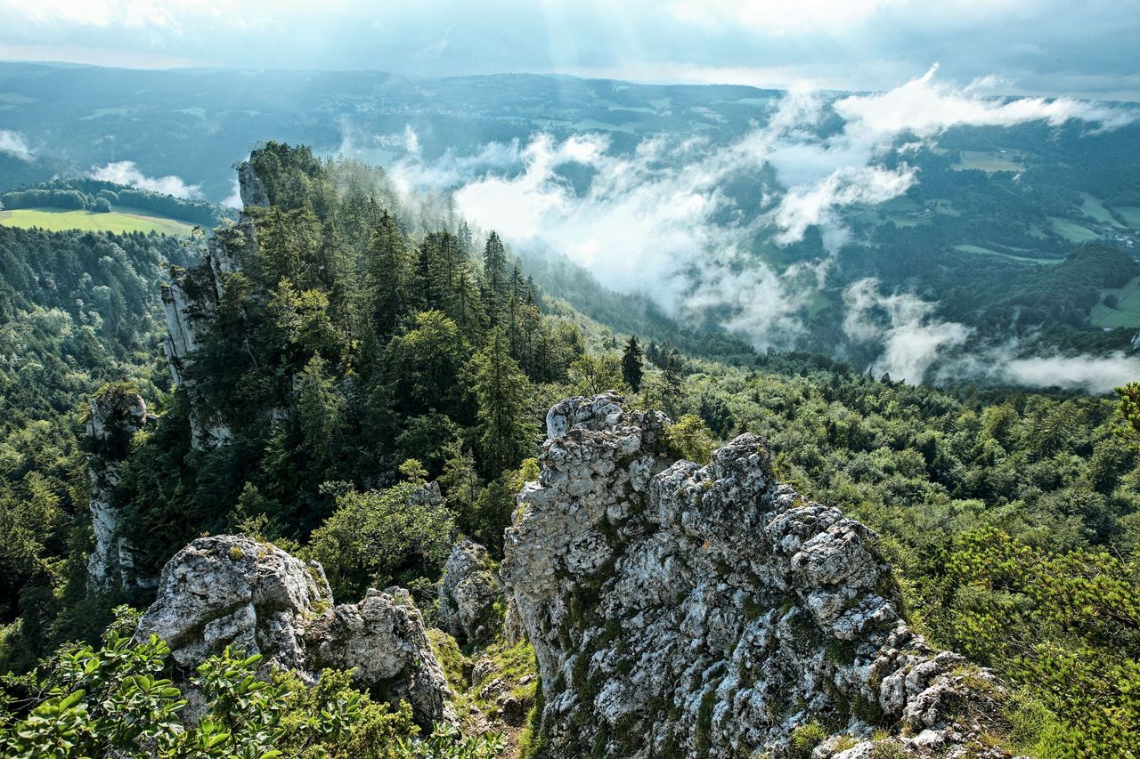 Parc du Doubs Muriaux