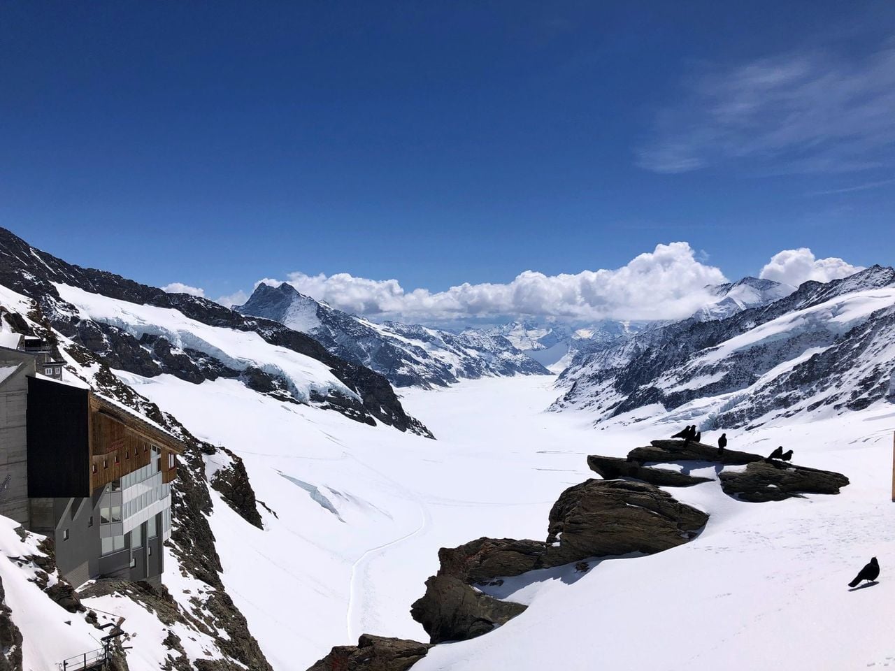 Reiseplanung für deine Reise in der Jungfrau Region