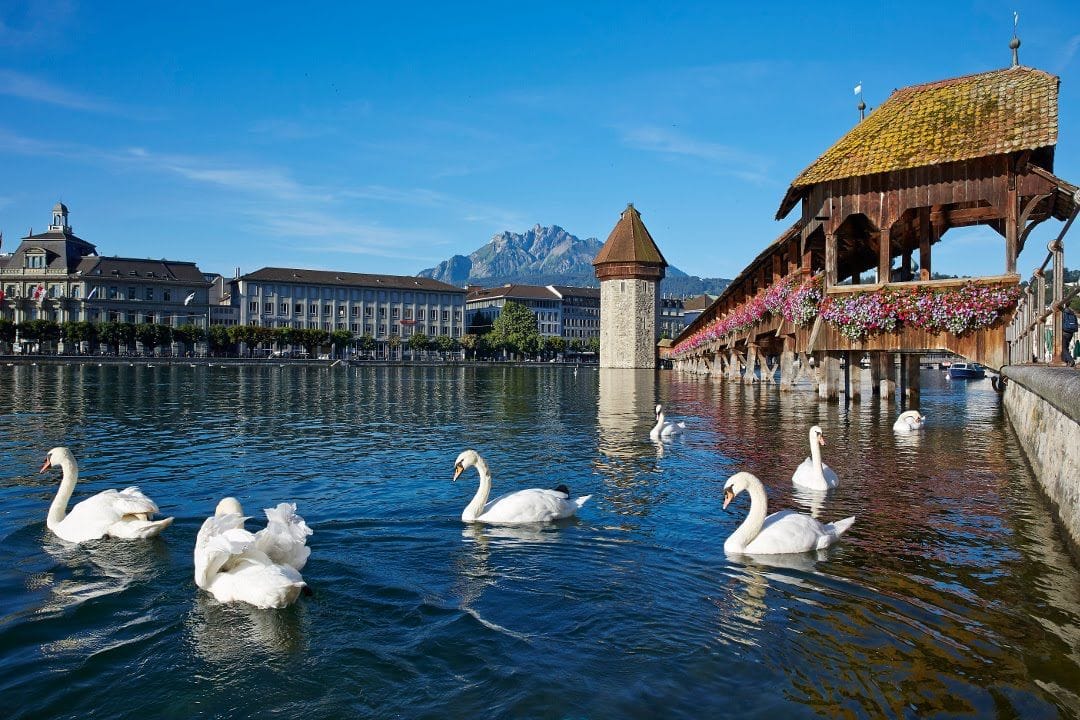 Reisezeit Luzern