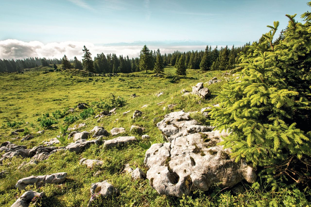 Naturpark Jura Vaudois Mont Tendre