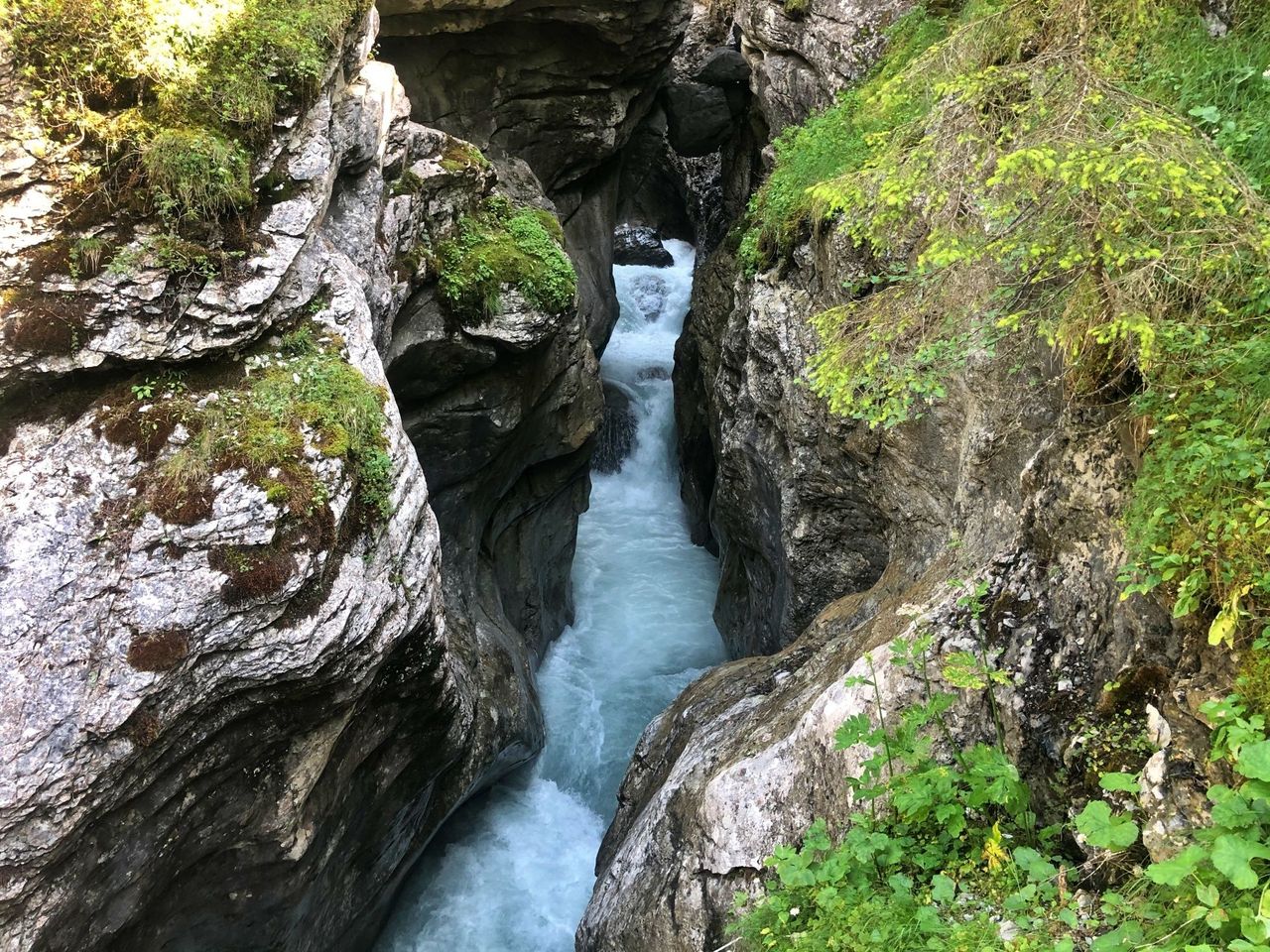 Wasser Sprudel Gletscherschlucht Rosenlaui