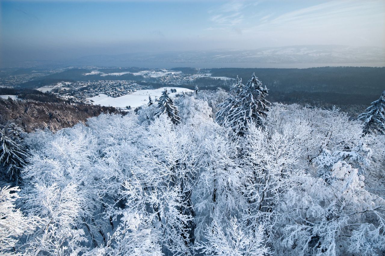 Naturpark Zürich Sihlwald-Hochwacht