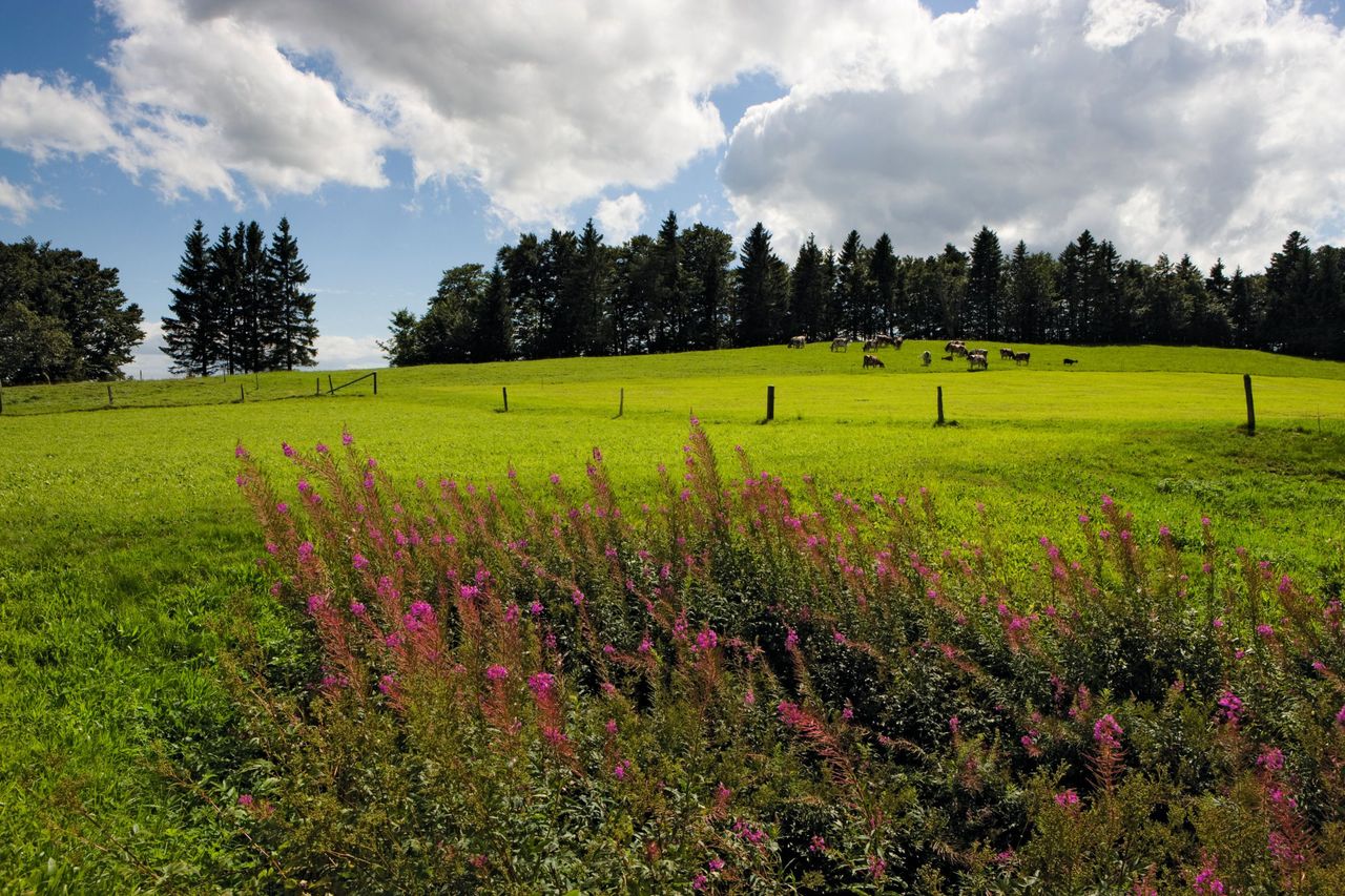 Naturpark Thal
