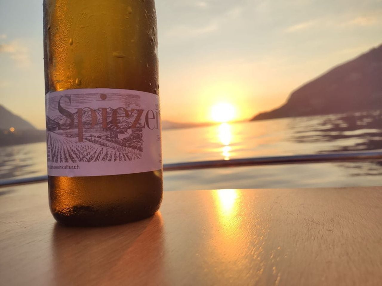 Cheese and wine tasting on Lake Thun