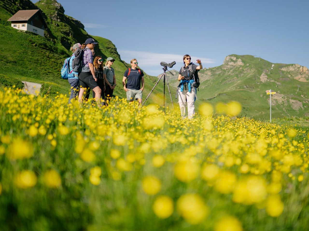 Wildtierbeobachtung Murmeltier im Heidiland