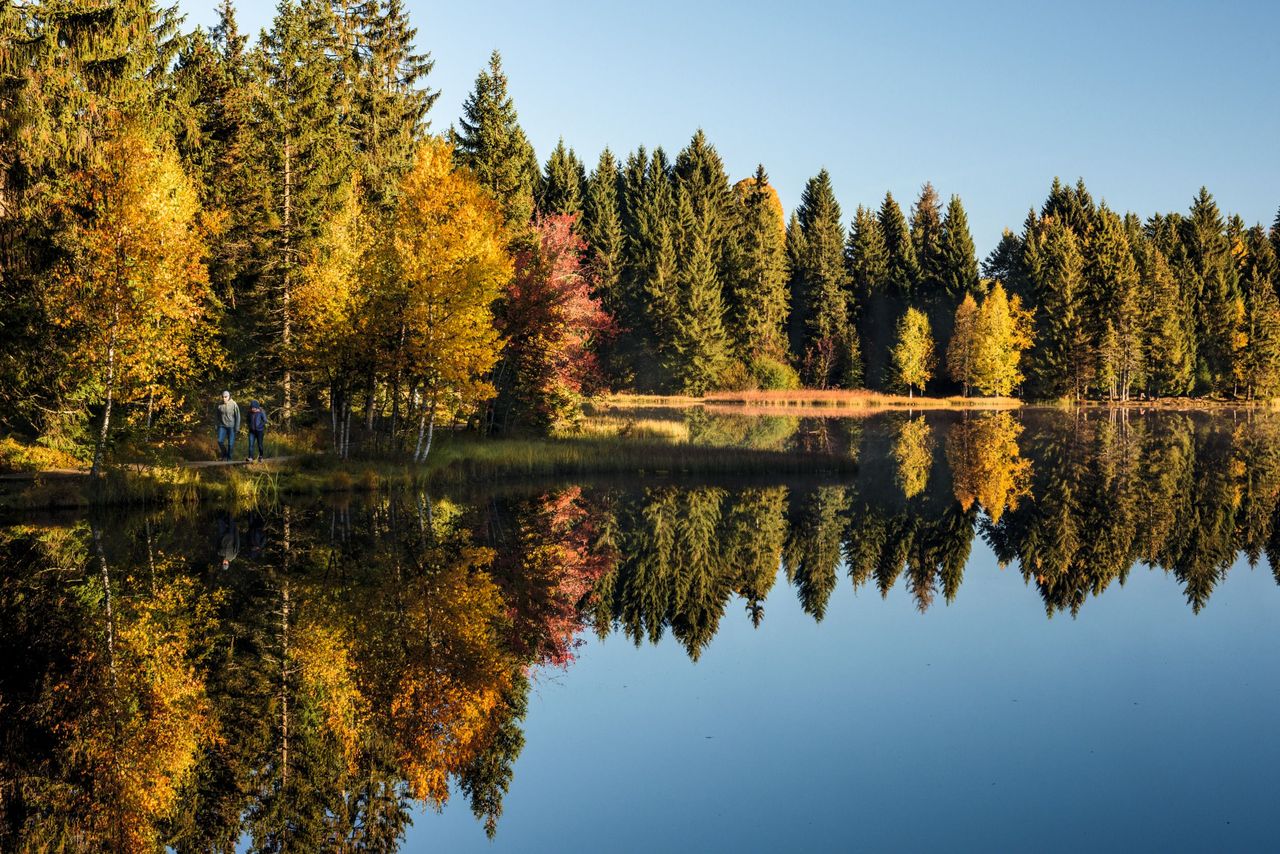 Parc du Doubs Saignelegier See Gruere