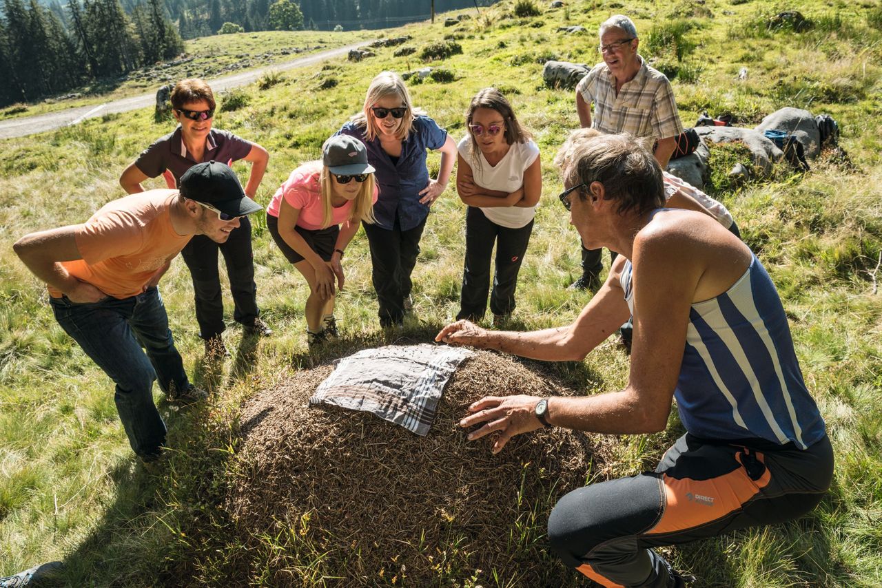 UNESCO Biosphäre Entlebuch Schrattenfluh