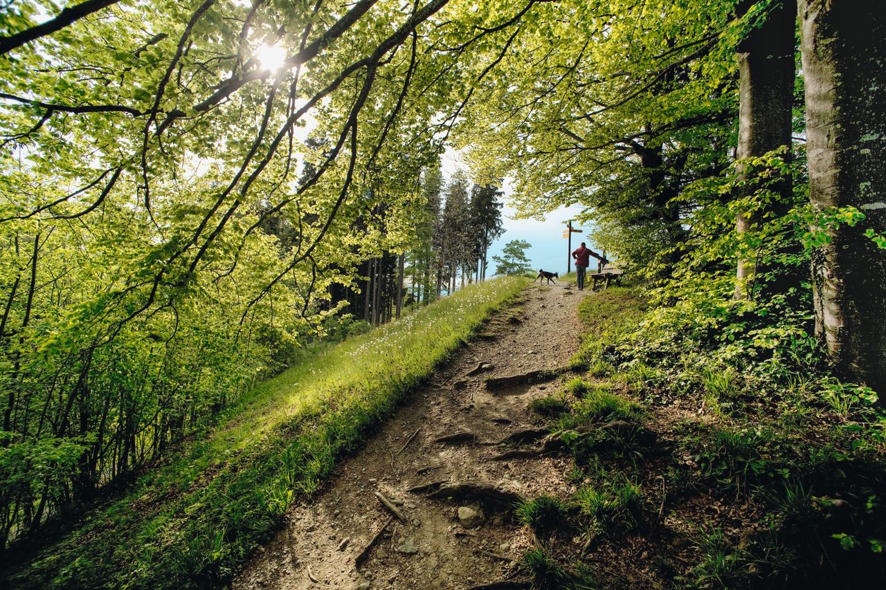 Naturpark Zürich Sihlwald