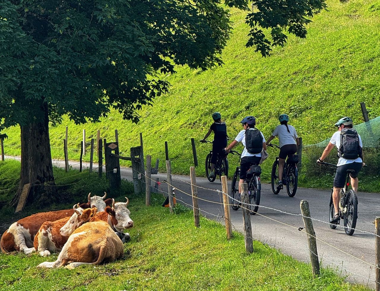 "Griesalp UNESCO-Alpentäler" - E-Bike-Tour ab Interlaken