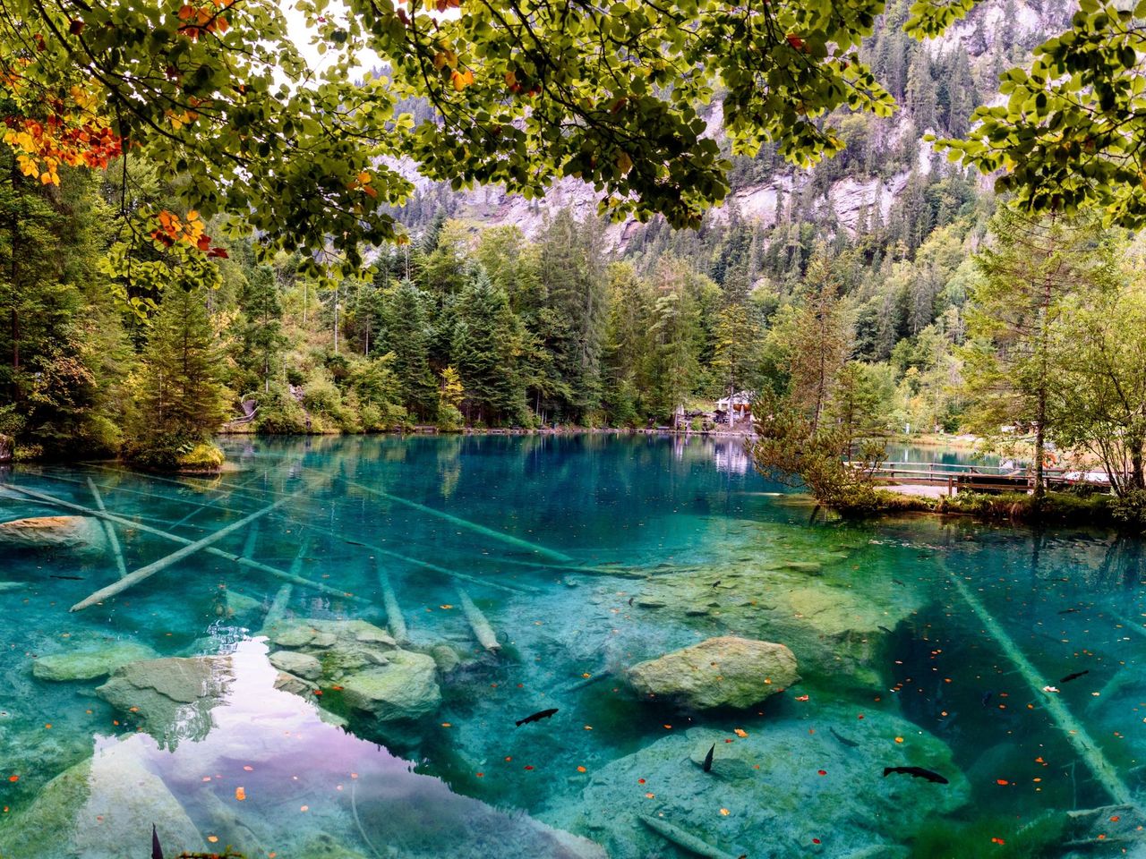 From Lauterbrunnen: private full-day tour to lakes, waterfalls, and mountain villages