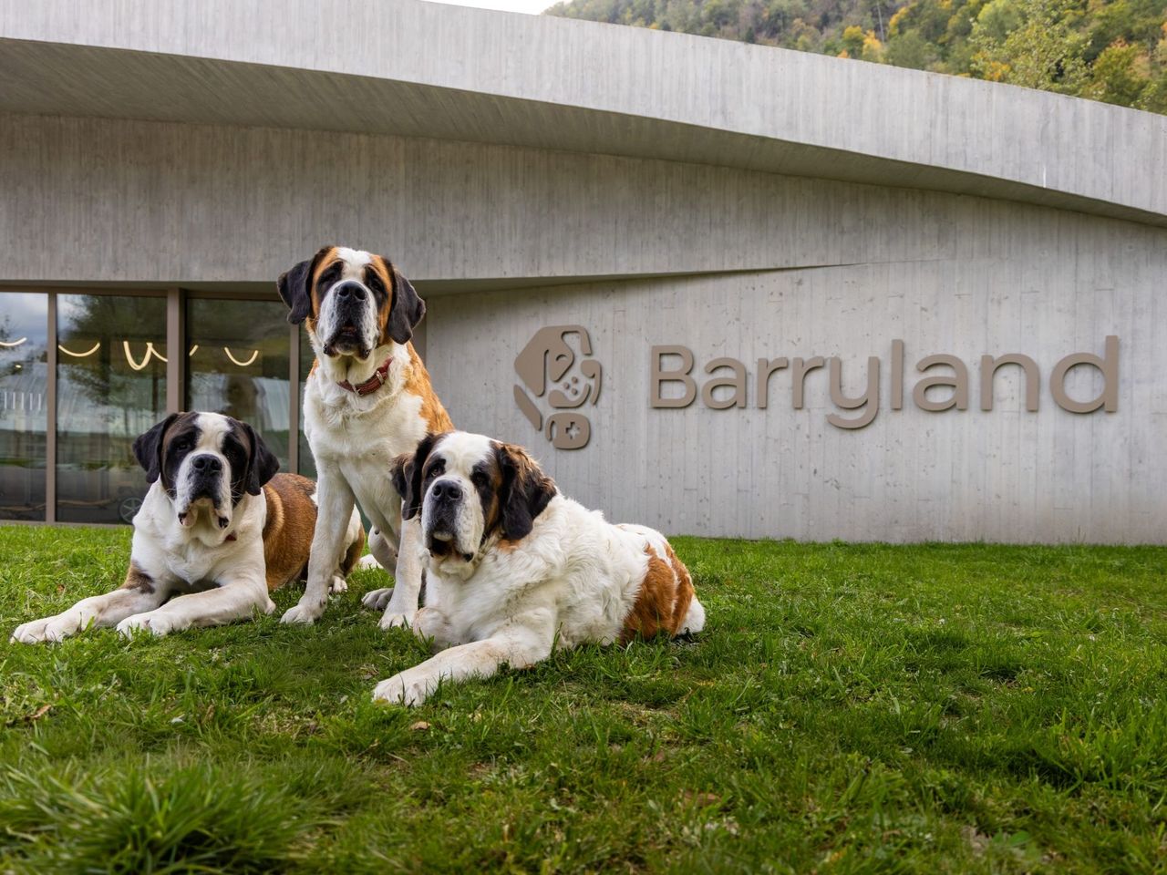  Ticket Eintritt Barryland in Martigny
