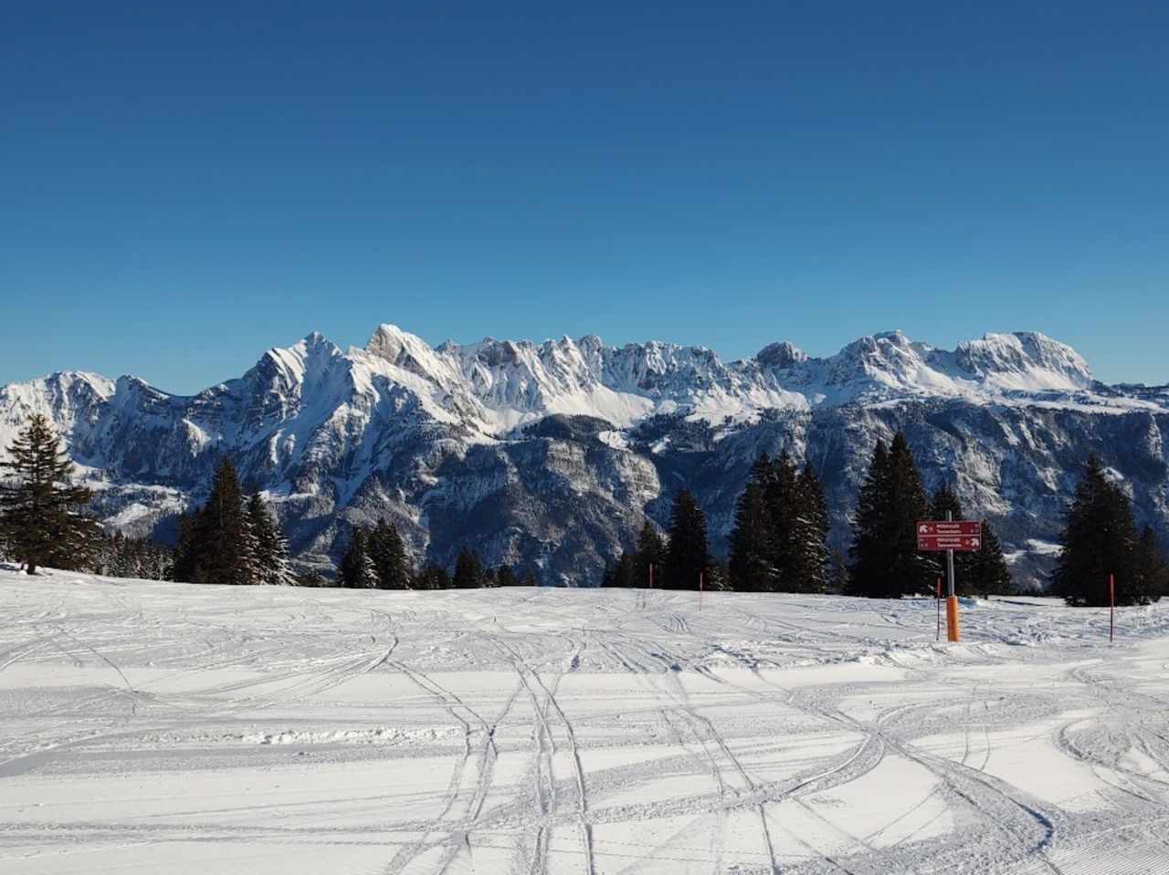 Private Basic Ski Lesson for Adults and Children in Andermatt