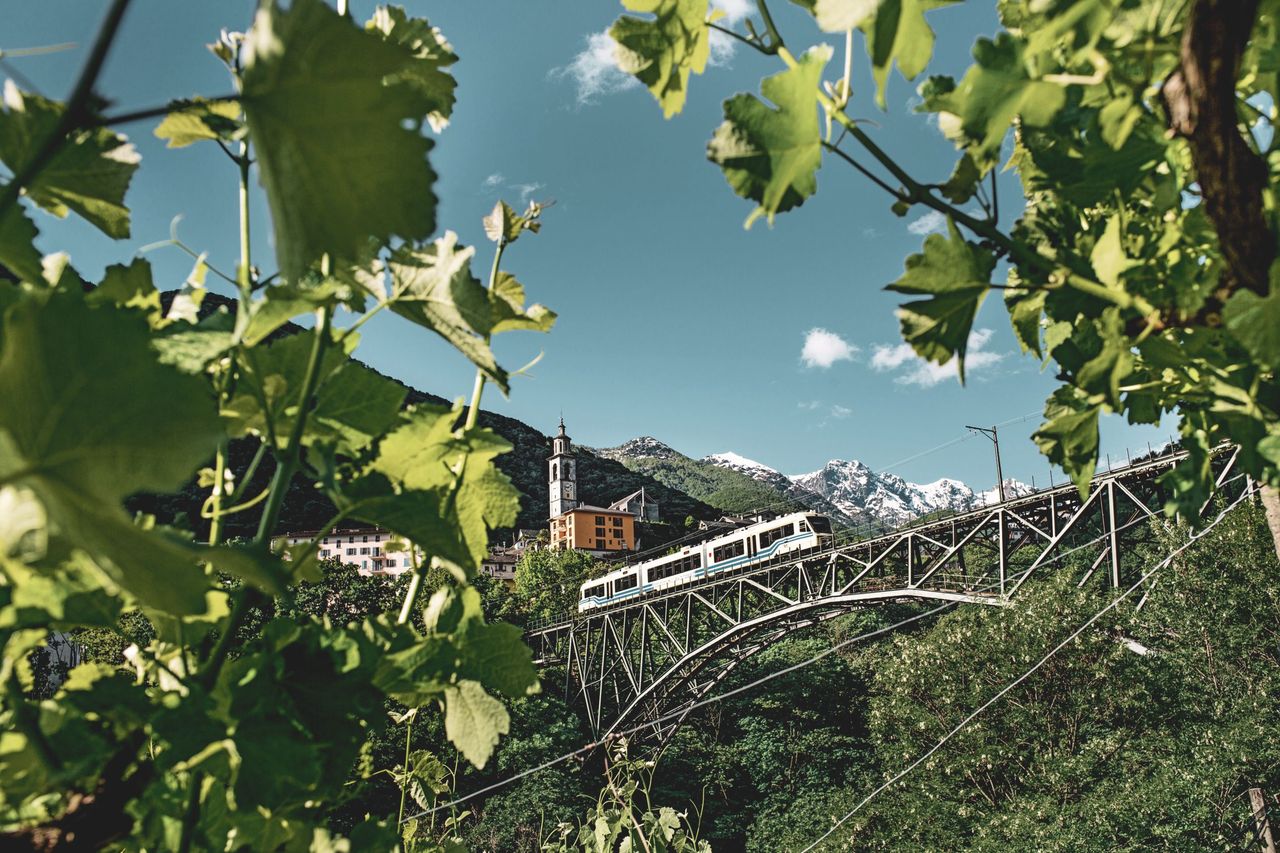 Panoramazüge Centovalli Bahn
