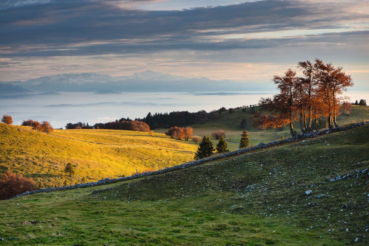 Neuenburger Jura