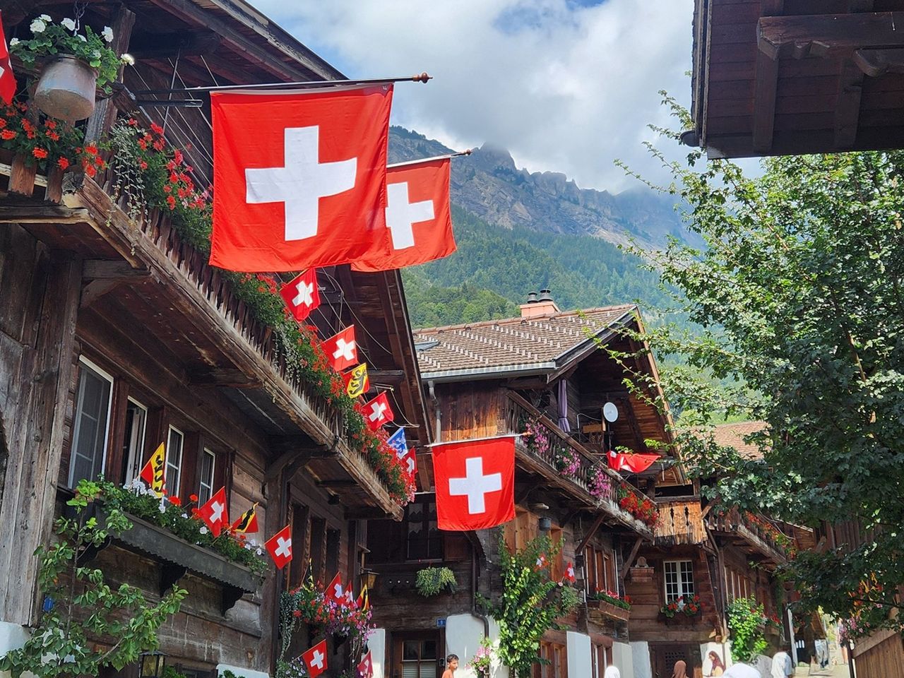 Kulinarische Sightseeing Tour Interlaken mit dem Bus