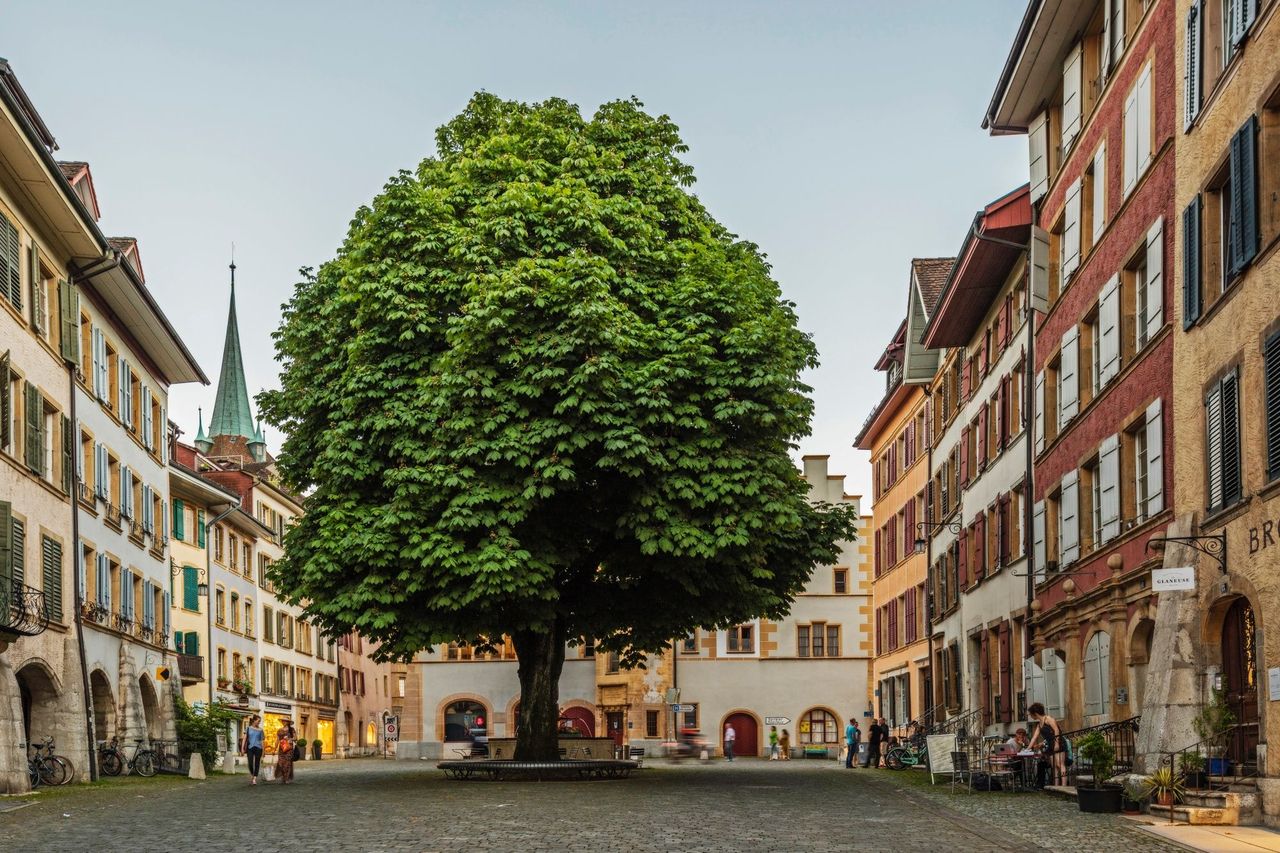 Biel Stadtführung durch die Altstadt