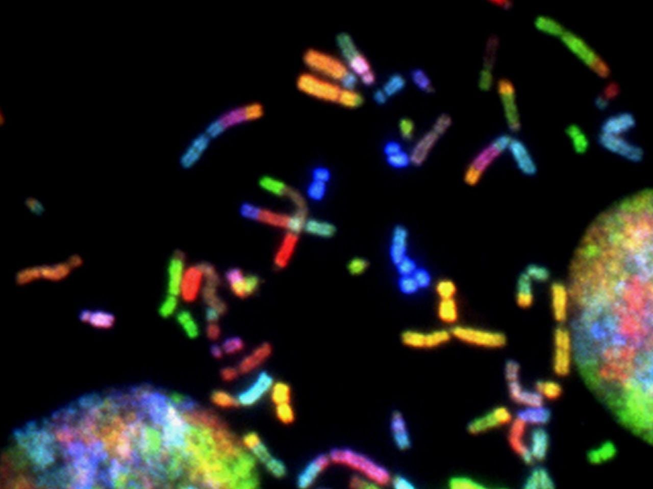 Schweizer Erfindung DNA