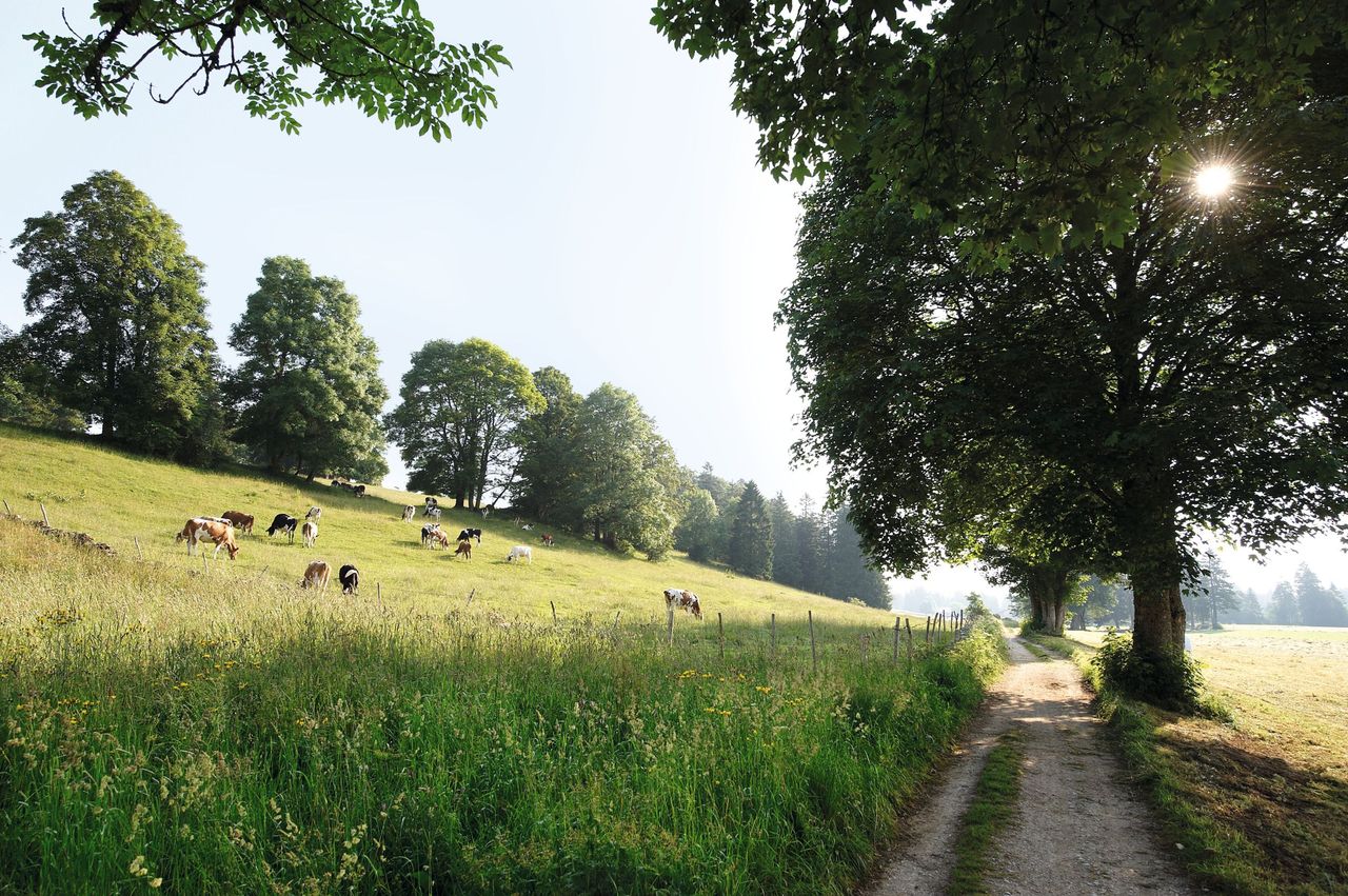 Parc du Doubs Les Cerlatez