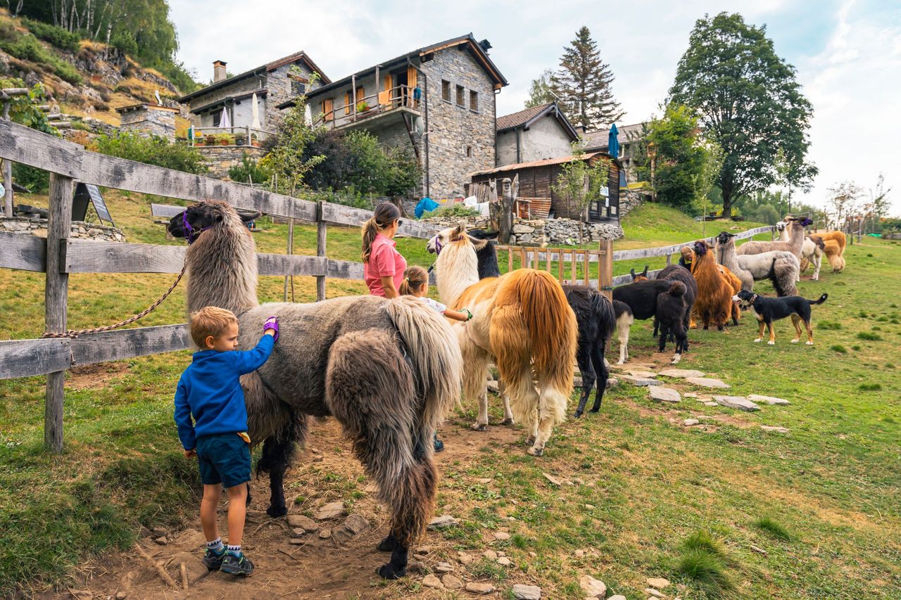 Kindergeburtstag Monte Comino Lama Trekking