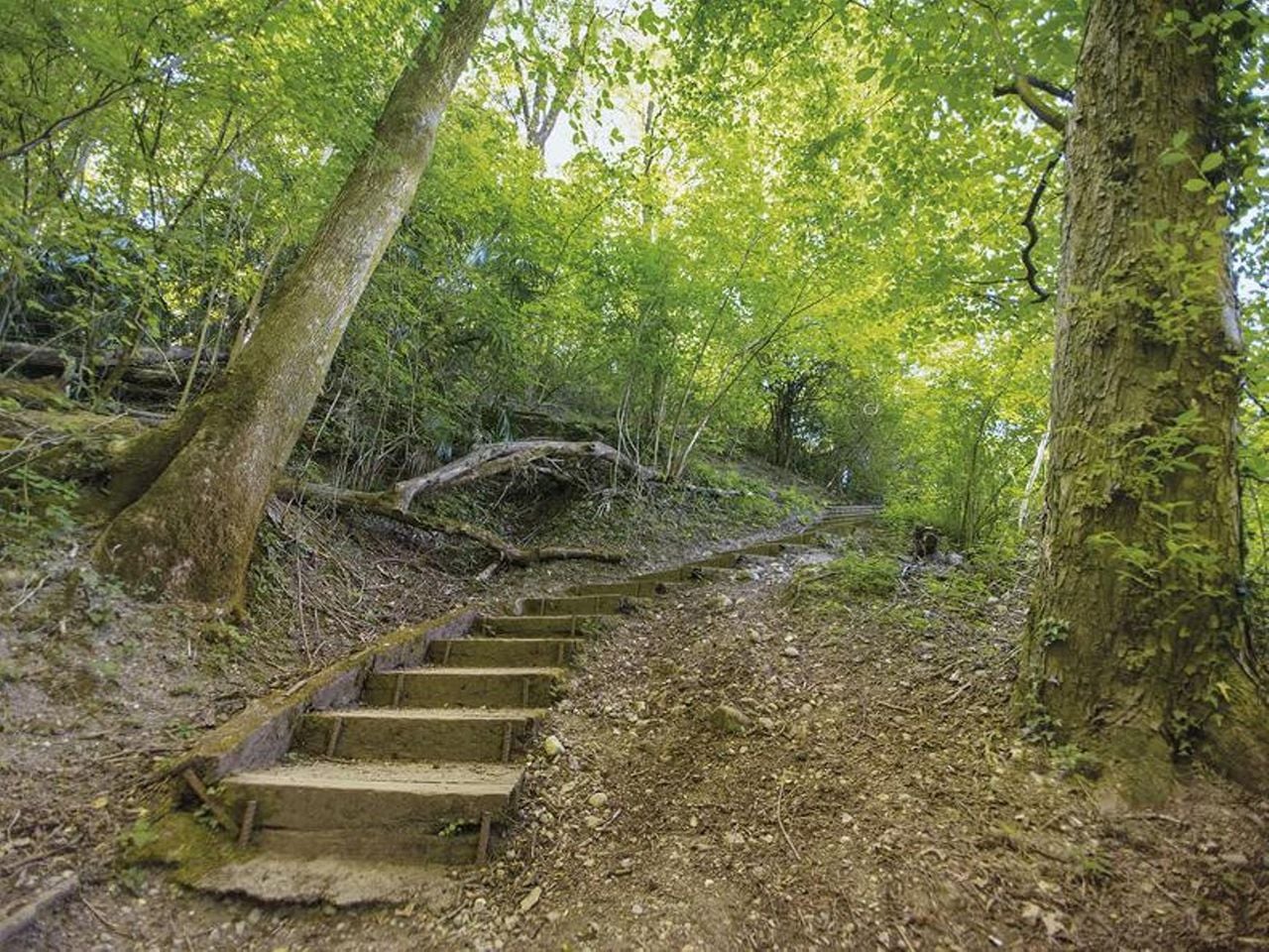 Tessin Wandern am San Salvatore