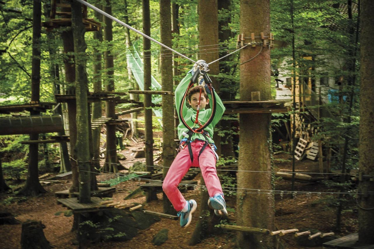 Seilparks in der Schweiz Interlaken