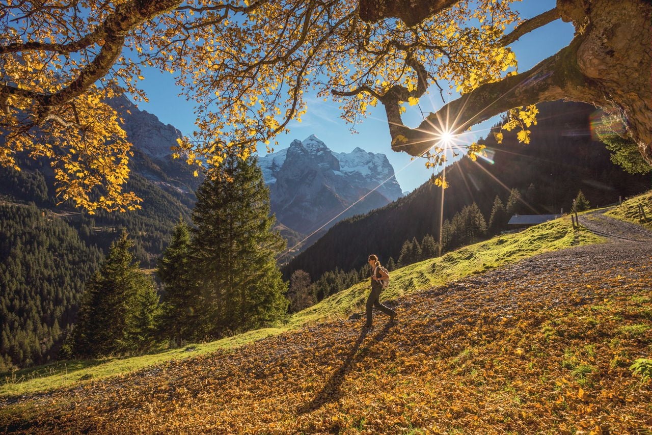 Wandern Rosenlaui Herbst