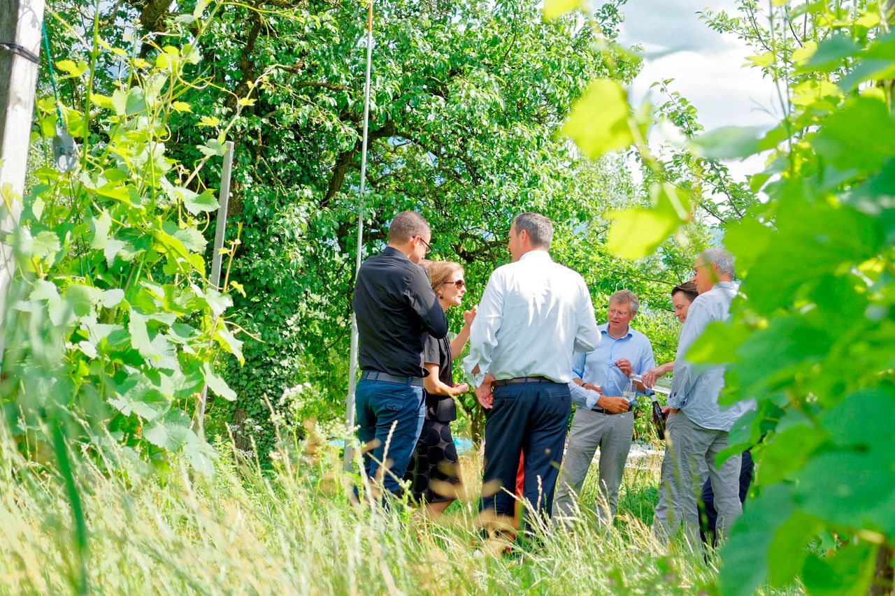 Polterabend Weintour Bündner Herrschaft