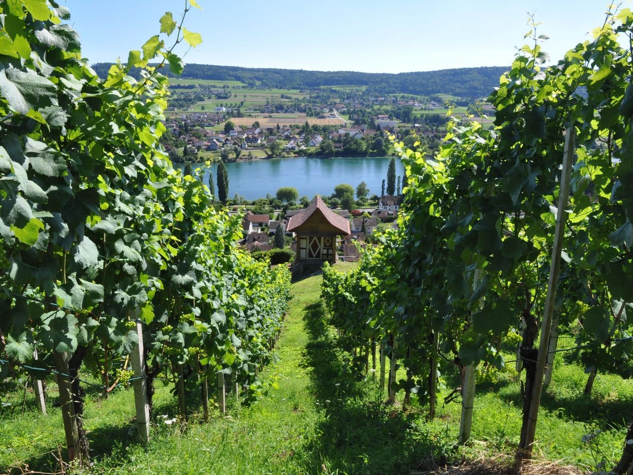 Private Degustation Wein und Schokolade in Stein am Rhein