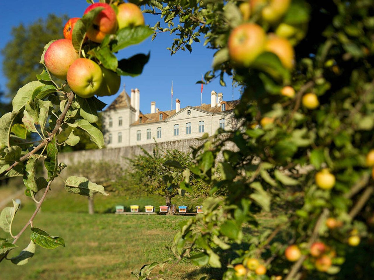 Ticket Château de Prangins