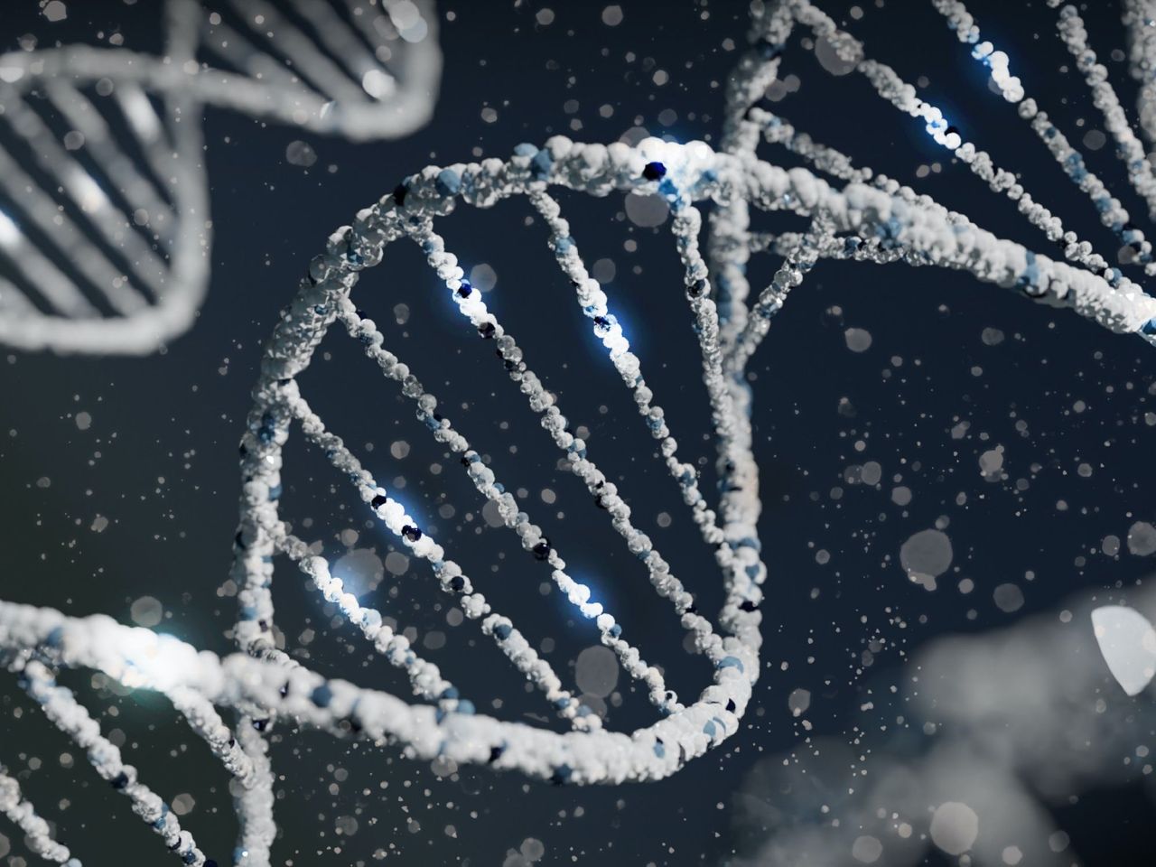 Schweizer Erfindung DNA