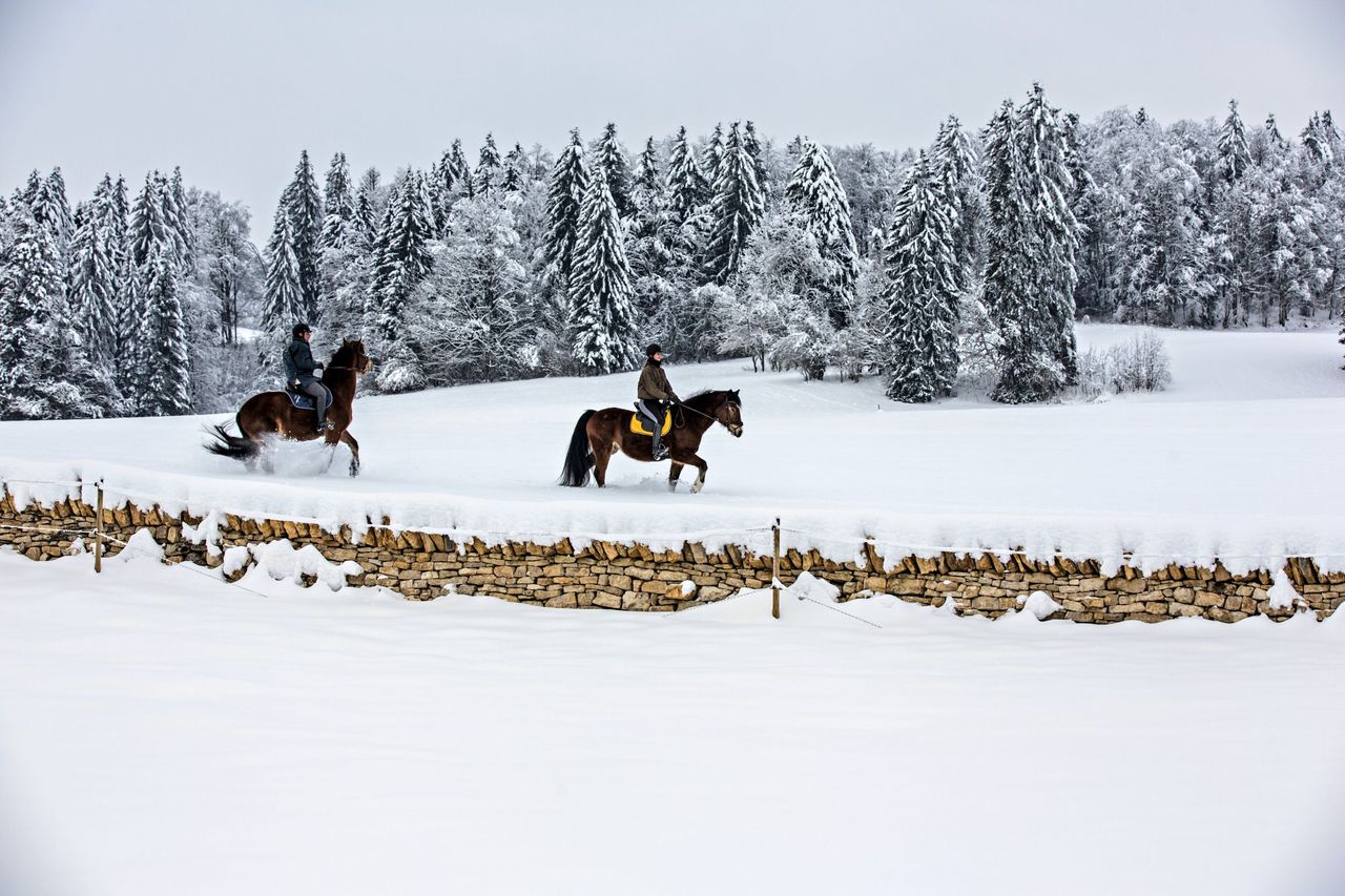 Parc du Doubs La Chaux des Breuleux