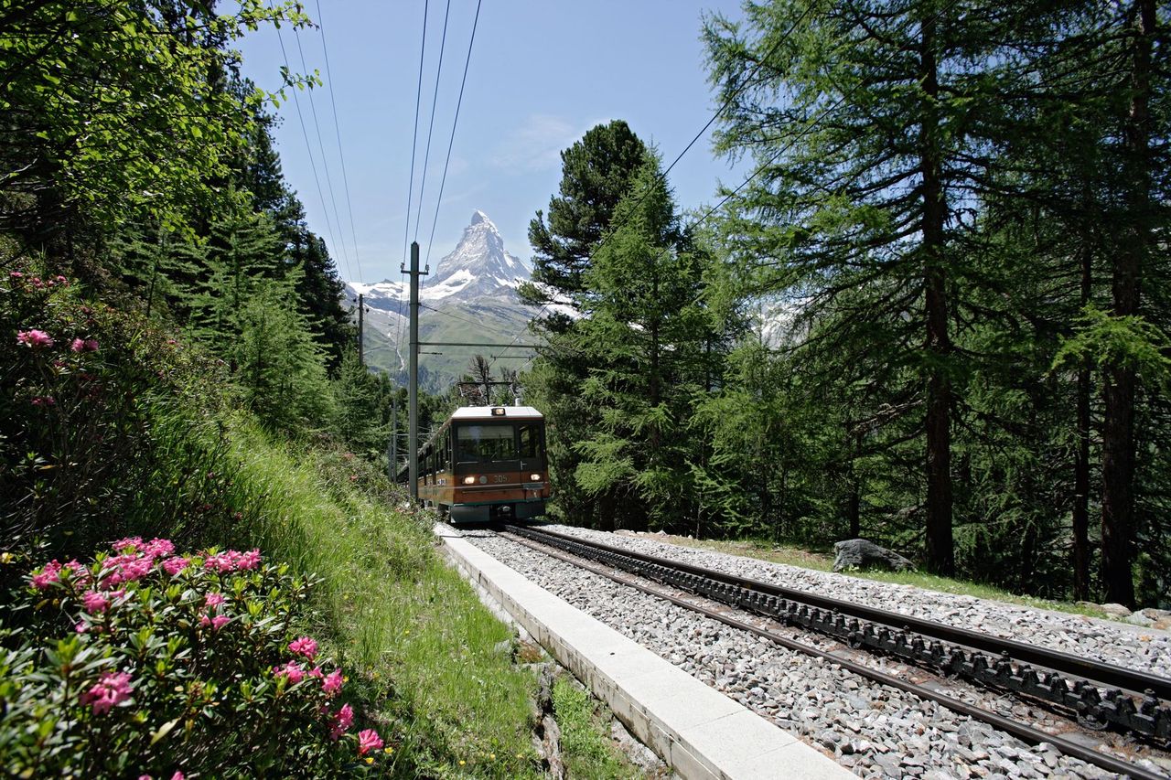 Gornergratbahn mit Matterhorn im Arvenwald