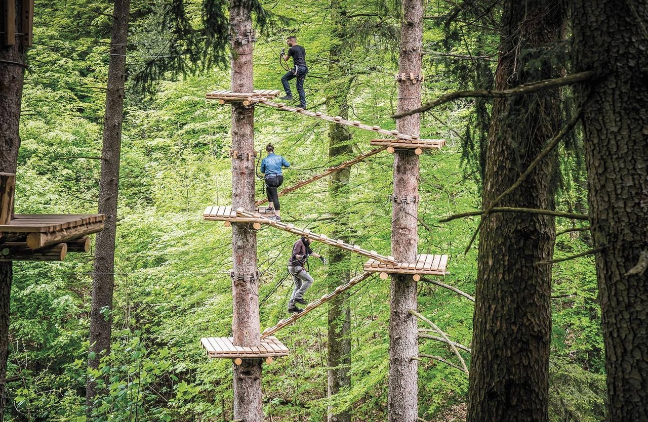 Seilparks in der Schweiz Interlaken