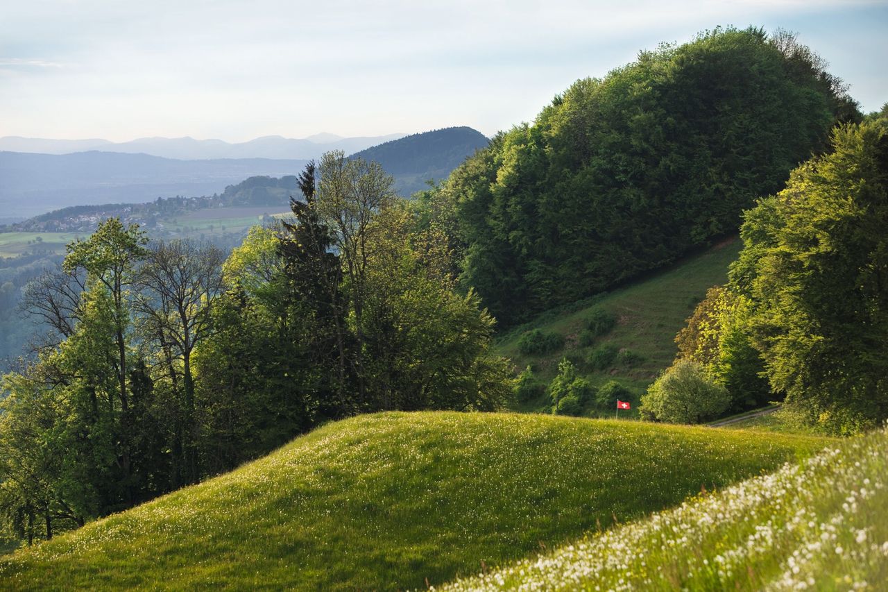 Naturpark Zürich Sihlwald