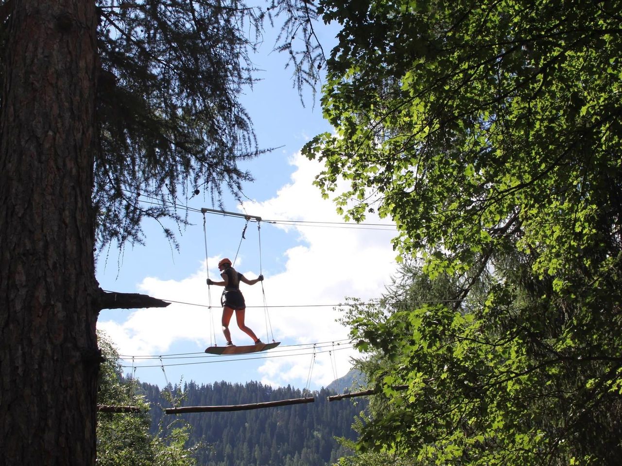 Seilparks in der Schweiz Seilpark Fiesch
