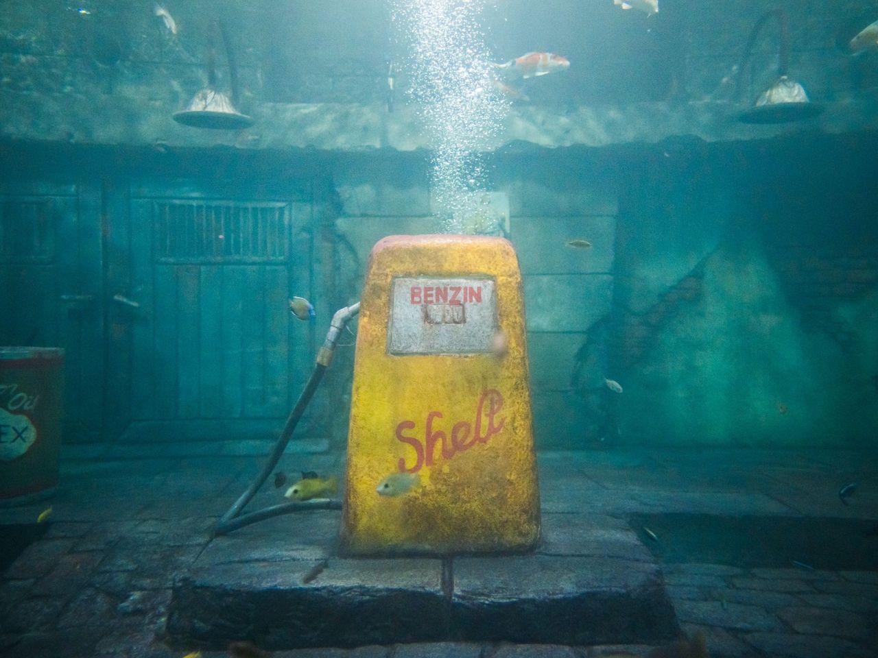 Ticket Aquarium in Langenthal